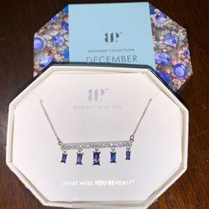 BP December 2024 Sterling Necklace -RBP8505 Always a Mood